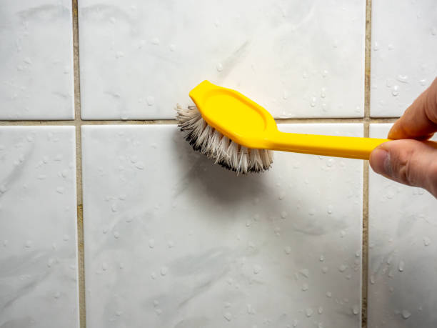 Mold Removal Process in Aurora, IN