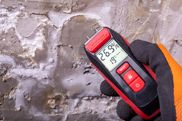 Best Fast Mold Removal  in Aurora, IN