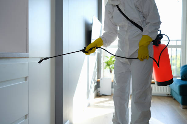 Best Local Mold Removal Service  in Aurora, IN